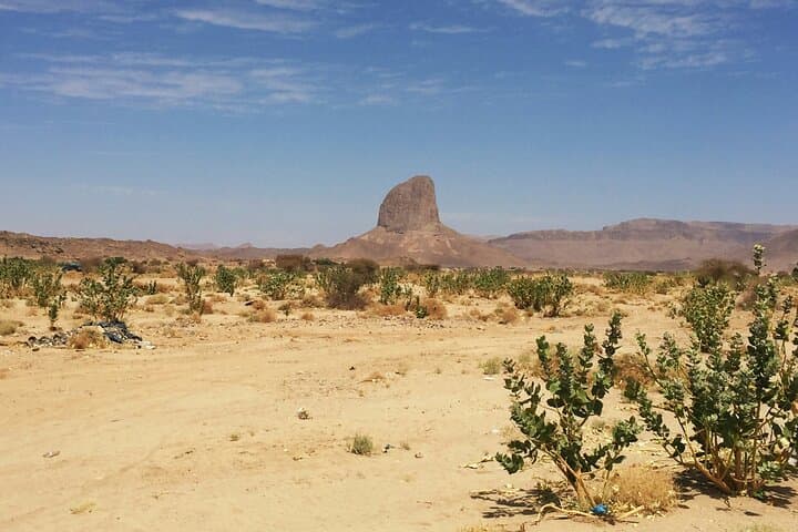 Baja UTV Canyon Ride & Tequila Tasting — Tierra Sagrada Off‑Road Experience photo 2