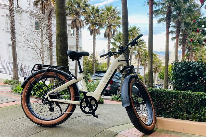 San Francisco Guided E‑Bike Tour: Haight‑Ashbury, Golden Gate Park & Ocean Beach photo 2