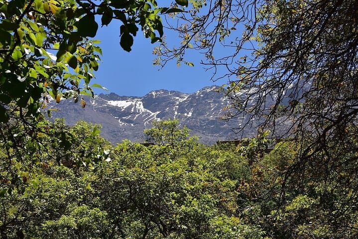 Ourika Valley Day Trip: Setti Fatma Waterfalls & Berber Village Hike from Marrakech photo 4