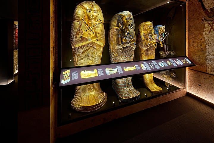 Cairns Combo: Tomb of the Pharaohs and Cairns Aquarium — Complete Visitor Guide photo 5