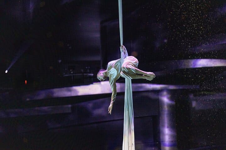 La Perle by Dragone Dubai: Daring Aerial & Aquatic Spectacle at Al Habtoor City photo 6