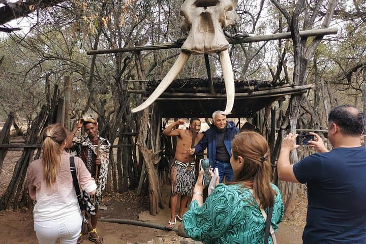 Lesedi Cultural Village Day Tour from Johannesburg — Traditional Homesteads & Evening Boma