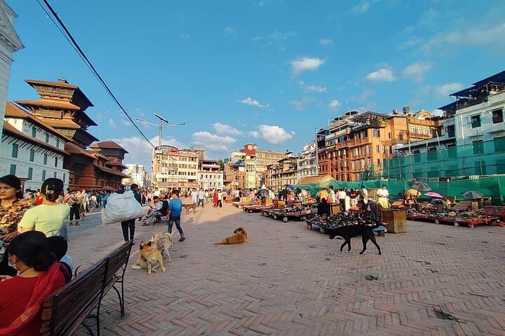 One-Day UNESCO Tour of Kathmandu Valley: See Seven Heritage Sites in a Day photo 3