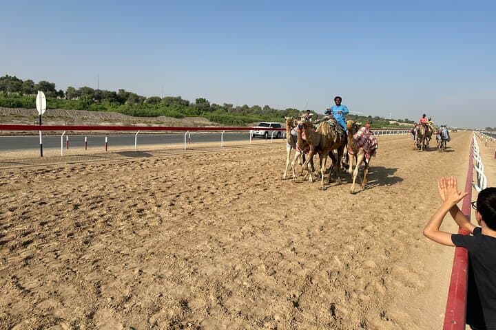 Al Wathba Salt Lake & Camel Race Track Tour from Abu Dhabi — Salt Flats and Camel Racing photo 6