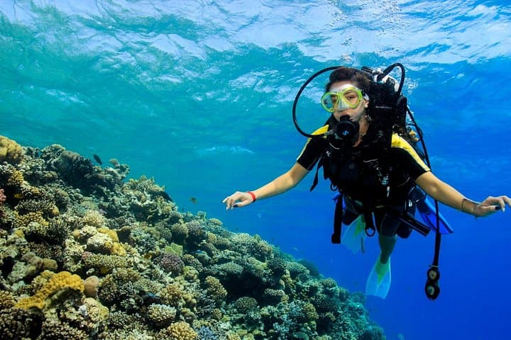 PADI Open Water Diver Course in Marsa Alam - 3-Day Red Sea Certification