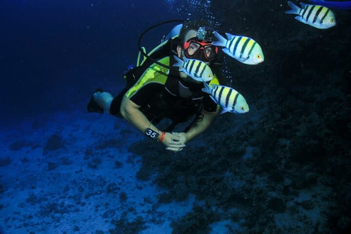 PADI Open Water Diver Course in Marsa Alam - 3-Day Red Sea Certification photo 5