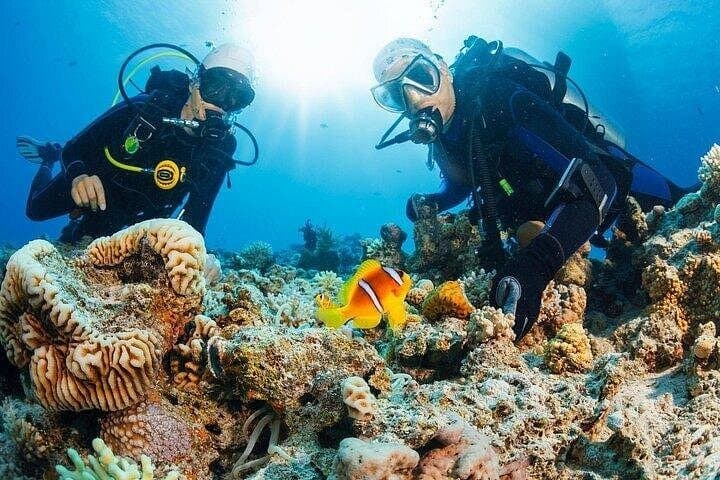 PADI Open Water Diver Course in Marsa Alam - 3-Day Red Sea Certification photo 6