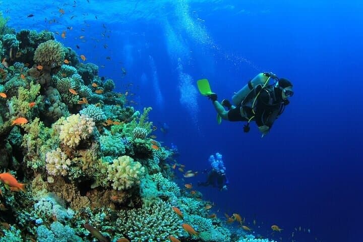 Advanced Open Water Diving Course in Sharm El Sheikh — 2-Day Red Sea Certification photo 5