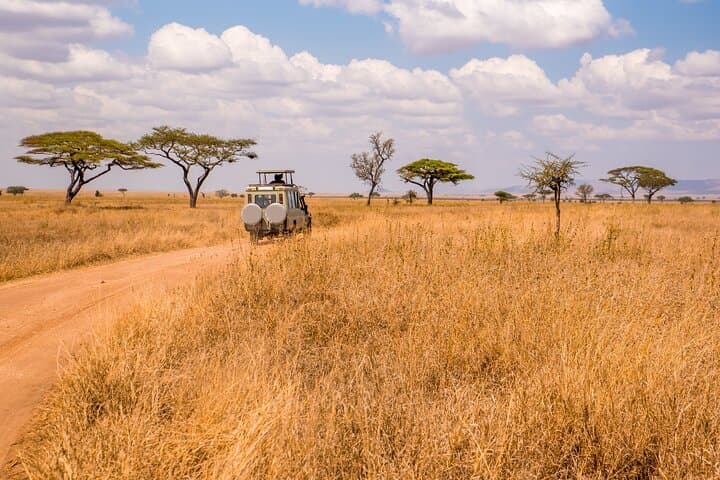 Rwanda & Uganda: 8-Day Gorilla Trek, Akagera Game Drive and Entebbe Eco Tour photo 3