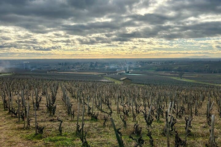 Beaujolais Private Wine Tour from Lyon — Full-Day Tastings & Bistronomic Lunch photo 3