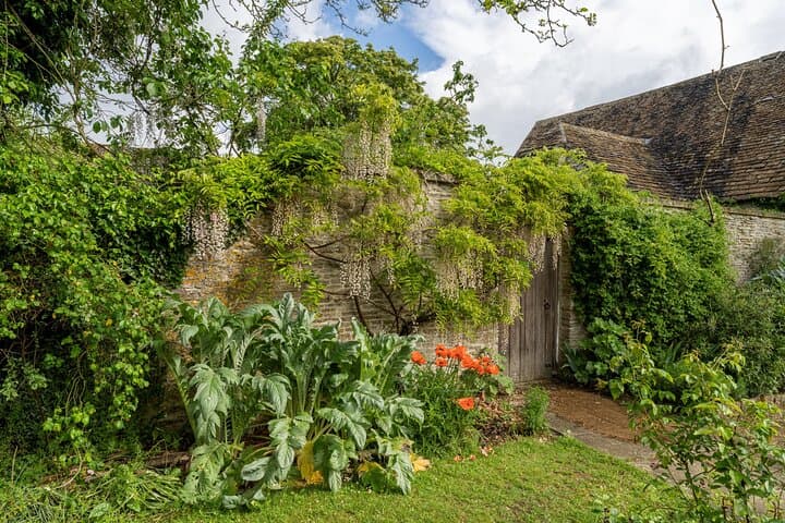 Paddle the Thames: Canoe Trip from Lechlade to Kelmscott Manor with Cream Tea photo 4