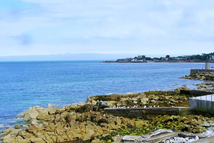 Dun Laoghaire to Dalkey: Self-Guided Coastal Audio Walk Through Dublin's Seaside Villages photo 6