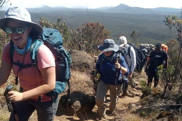 8-Day Lemosho Route Kilimanjaro Trek: Acclimatization, Summit & Practical Planning photo 2