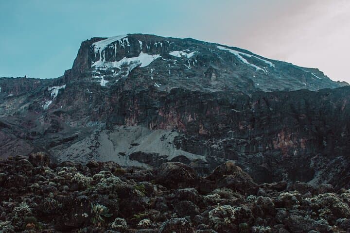 8-Day Lemosho Route Kilimanjaro Trek: Acclimatization, Summit & Practical Planning photo 6