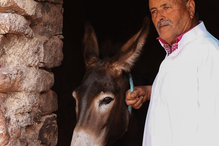 Secret Valley Day Tour & Home-Cooked Berber Lunch Near Agadir photo 1