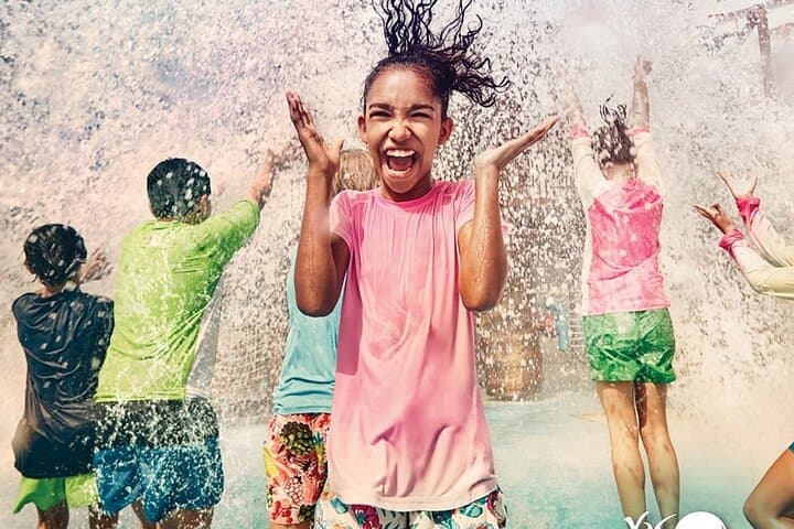 Yas Waterworld Abu Dhabi: Complete Guide to Rides, Tickets & Tips