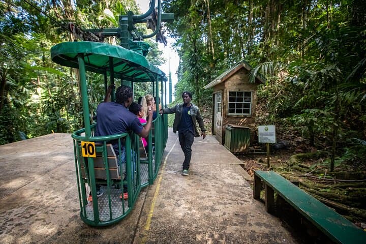 St Lucia Zipline & Aerial Tram Rainforest Canopy Tour photo 4
