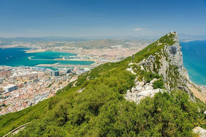 Dolphin Watching in the Strait of Gibraltar — Day Trip from Cadiz photo 6