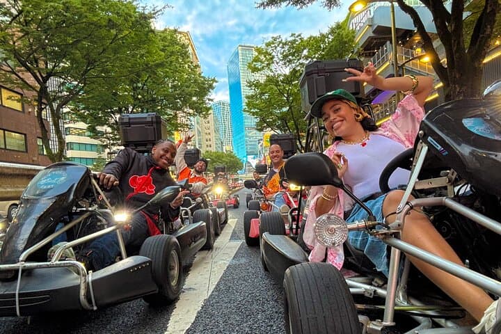 Go-Kart Through Tokyo: Shibuya & Shinjuku Street Drive photo 5