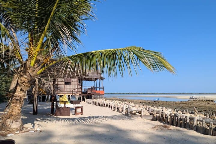 7-Day Tsingy, Kirindy & Baobab Adventure from Morondava photo 5