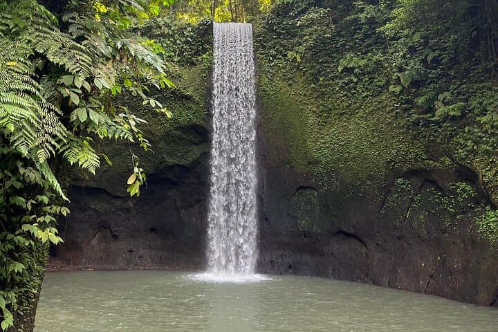 Ubud Hidden Waterfalls, Tirta Empul & Tegallalang — Private Day Tour photo 3