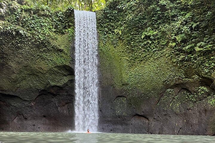 Ubud Hidden Waterfalls, Tirta Empul & Tegallalang — Private Day Tour photo 4