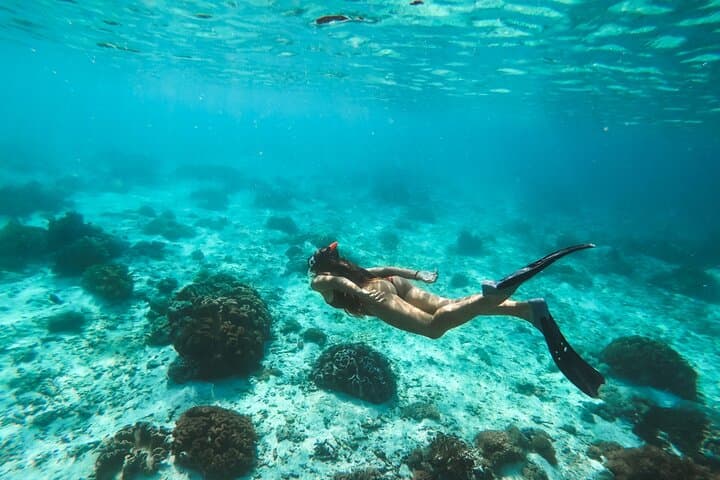 Private Speedboat to Marsa Mubarak: 4-Hour Snorkeling Adventure from Marsa Alam photo 3
