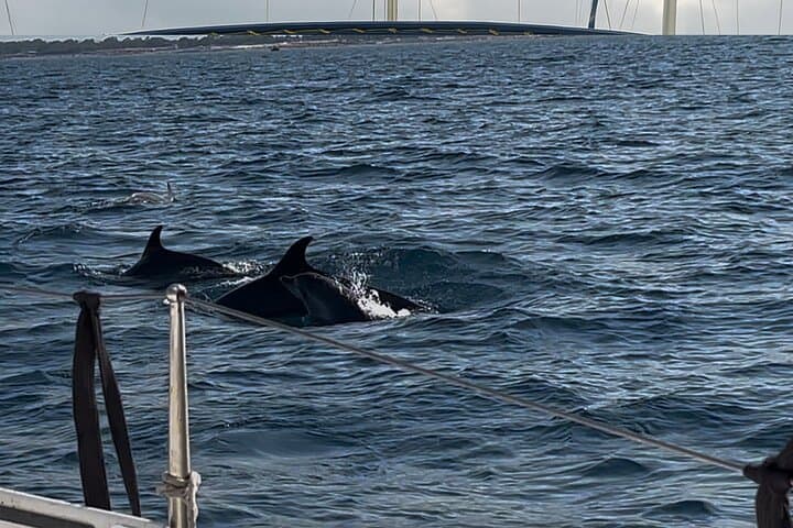 Catania Boutique Sailing: Brunch and Swim along the Cyclops Riviera photo 4