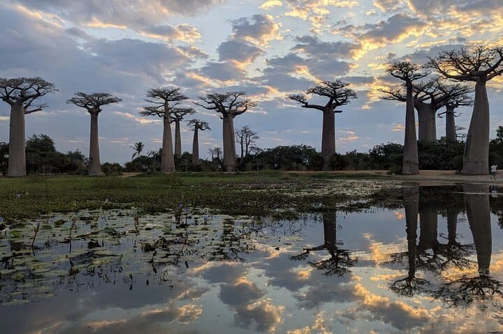 12-Day Madagascar Adventure: Tsiribihina River, Tsingy & Baobabs photo 2