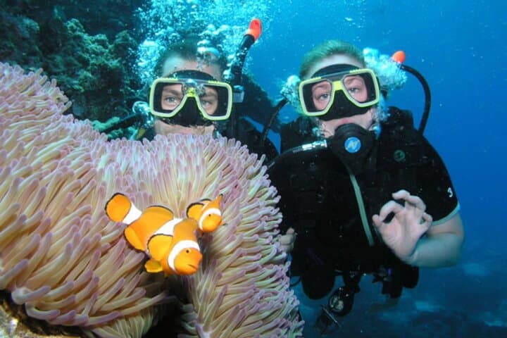 Coral Garden Diving Trip — Two Dives & Snorkel Day from Marsa Alam