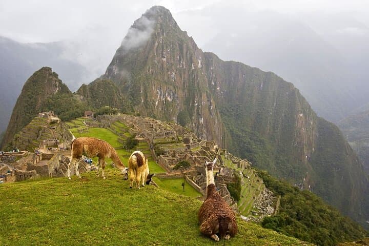 5-Day Cusco & Machu Picchu: Sacred Valley, Rainbow Mountain Adventure photo 2