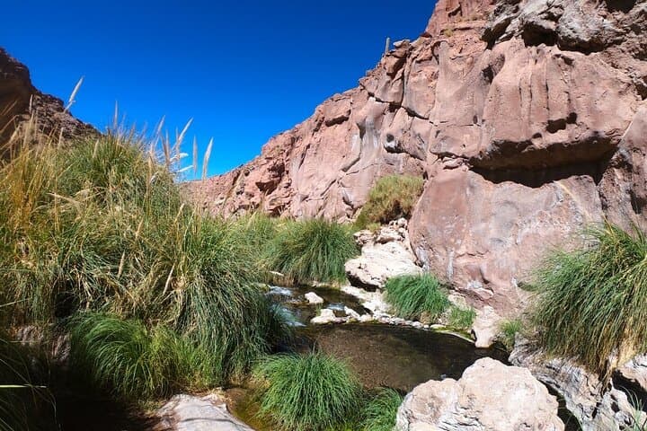 Purilibre Trekking from Puritama Hot Springs — High-Plateau Hike in the Atacama