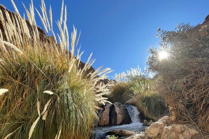 Purilibre Trekking from Puritama Hot Springs — High-Plateau Hike in the Atacama photo 3
