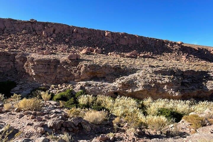 Purilibre Trekking from Puritama Hot Springs — High-Plateau Hike in the Atacama photo 6