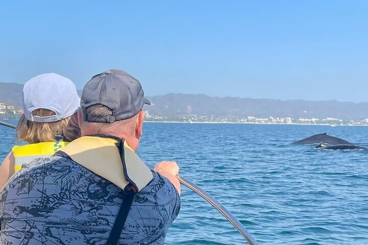 Puerto Vallarta Whale Watching: Humpback Encounters in Banderas Bay photo 4