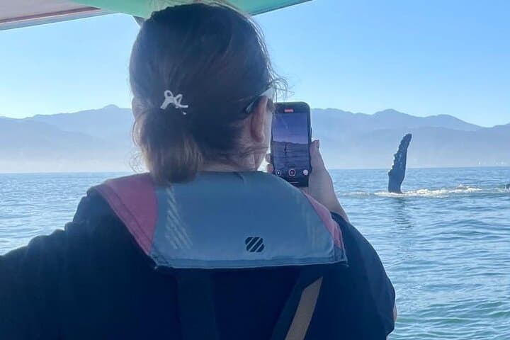 Puerto Vallarta Whale Watching: Humpback Encounters in Banderas Bay photo 3
