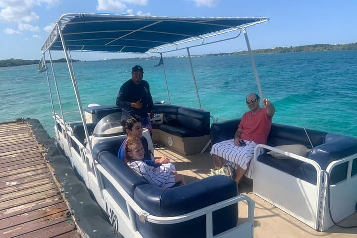 Private Snorkel Tour at Mangel Halto and Reef Island — Aruba Mangrove & Marine Life photo 5