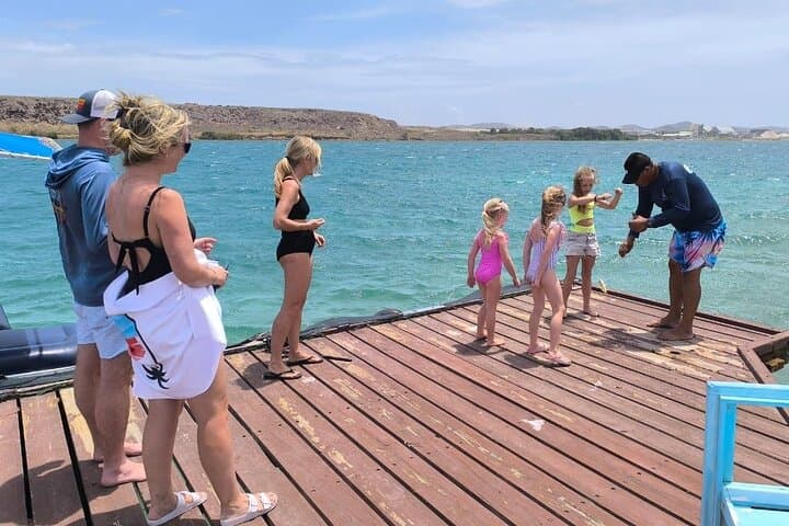 Private Snorkel Tour at Mangel Halto and Reef Island — Aruba Mangrove & Marine Life photo 4