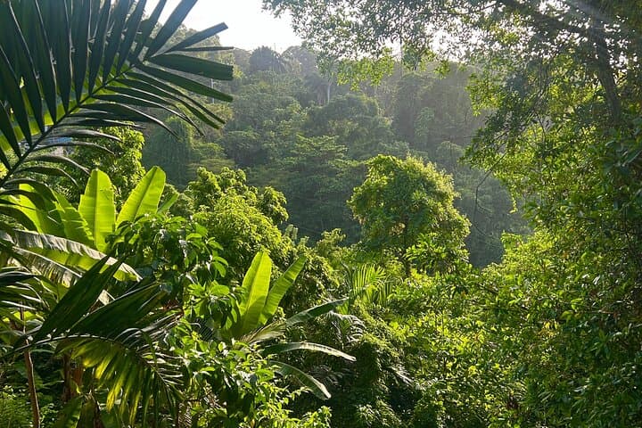 Dunns River Falls, Mahogany Beach & Hilltop Lookout Tour — Ocho Rios Day Trip photo 3