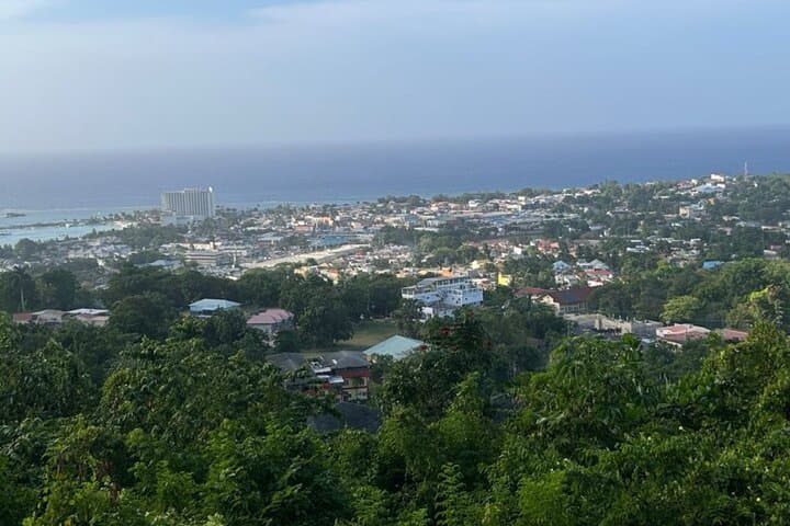 Dunns River Falls, Mahogany Beach & Hilltop Lookout Tour — Ocho Rios Day Trip