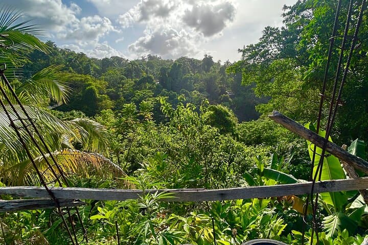 Dunns River Falls, Mahogany Beach & Hilltop Lookout Tour — Ocho Rios Day Trip photo 5