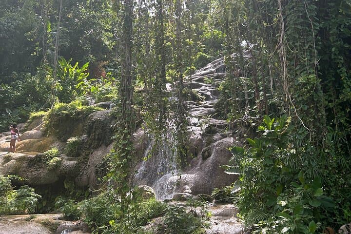 Dunns River Falls, Mahogany Beach & Hilltop Lookout Tour — Ocho Rios Day Trip photo 2