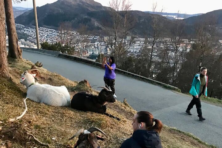 Private Mount Floyen Hike: Scenic Trails and Panoramic Views Near Bergen photo 3