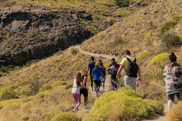 Full-Day El Chaltén Hiking Experience — Fitz Roy, Viedma & Waterfall Views photo 6