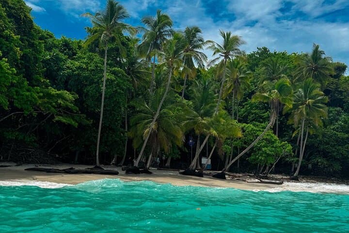 Private All-Inclusive Day Trip to Playa Quesera from San José photo 3