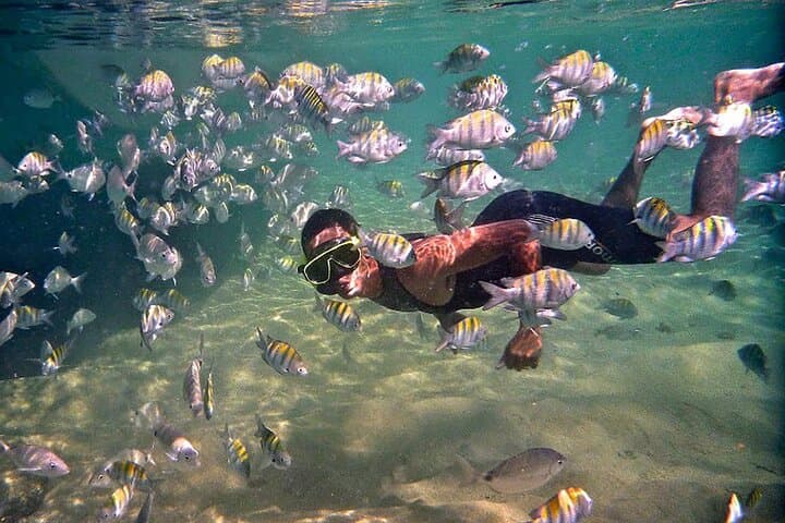 Angra dos Reis Dive Boat: Shared PADI Dives & Island Snorkel photo 4