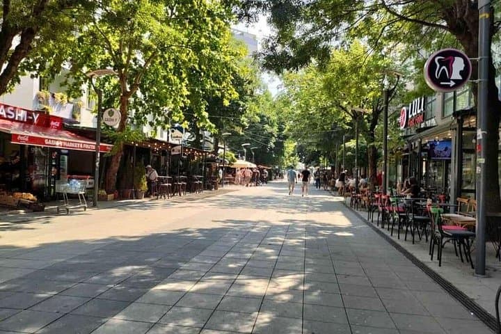 Mitrovica Day Tour from Peja — Stories, Ibar Bridge & a Shot of Raki photo 3