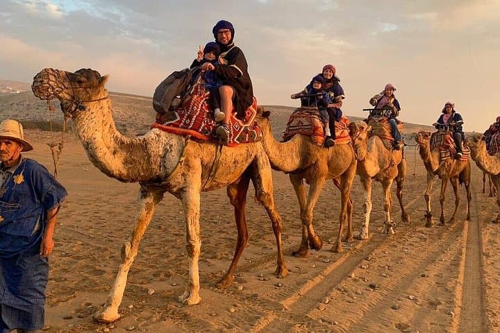 Agadir Mini-Sahara Day Trip: Camel Ride, Dunes & Souss-Massa Wildlife photo 3
