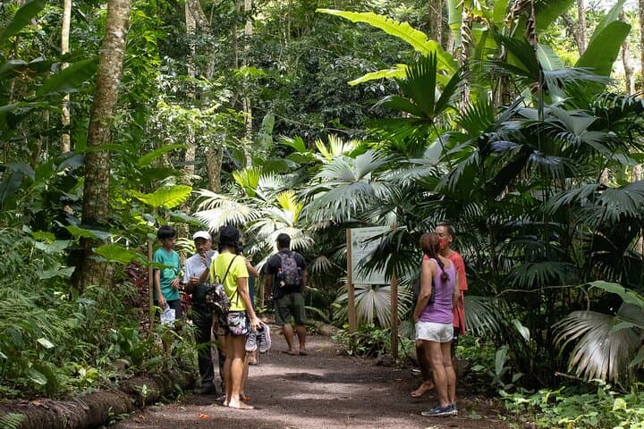 AOA Polynesian Forests: Tahiti Educational Trail & Native Species Game
