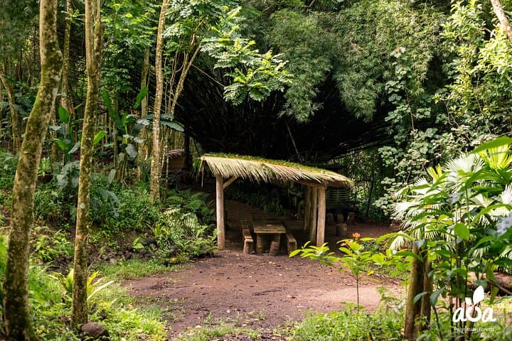 AOA Polynesian Forests: Tahiti Educational Trail & Native Species Game photo 5